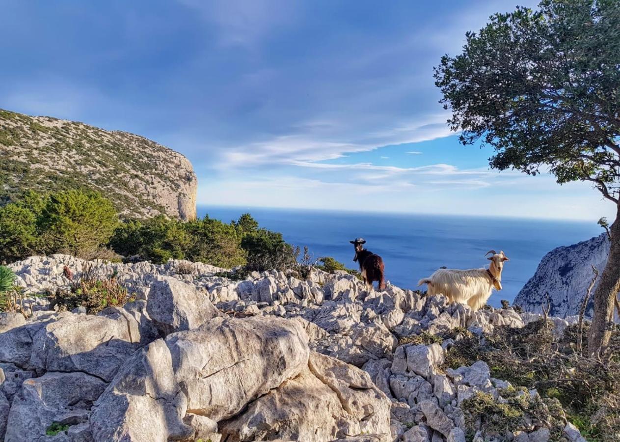 Appartamento Tra Mare E Montagna Baunei Exterior photo